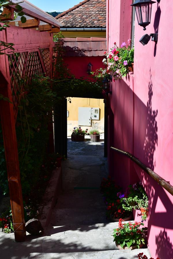 Pensiunea Cristina Si Pavel Sighisoara Exterior photo